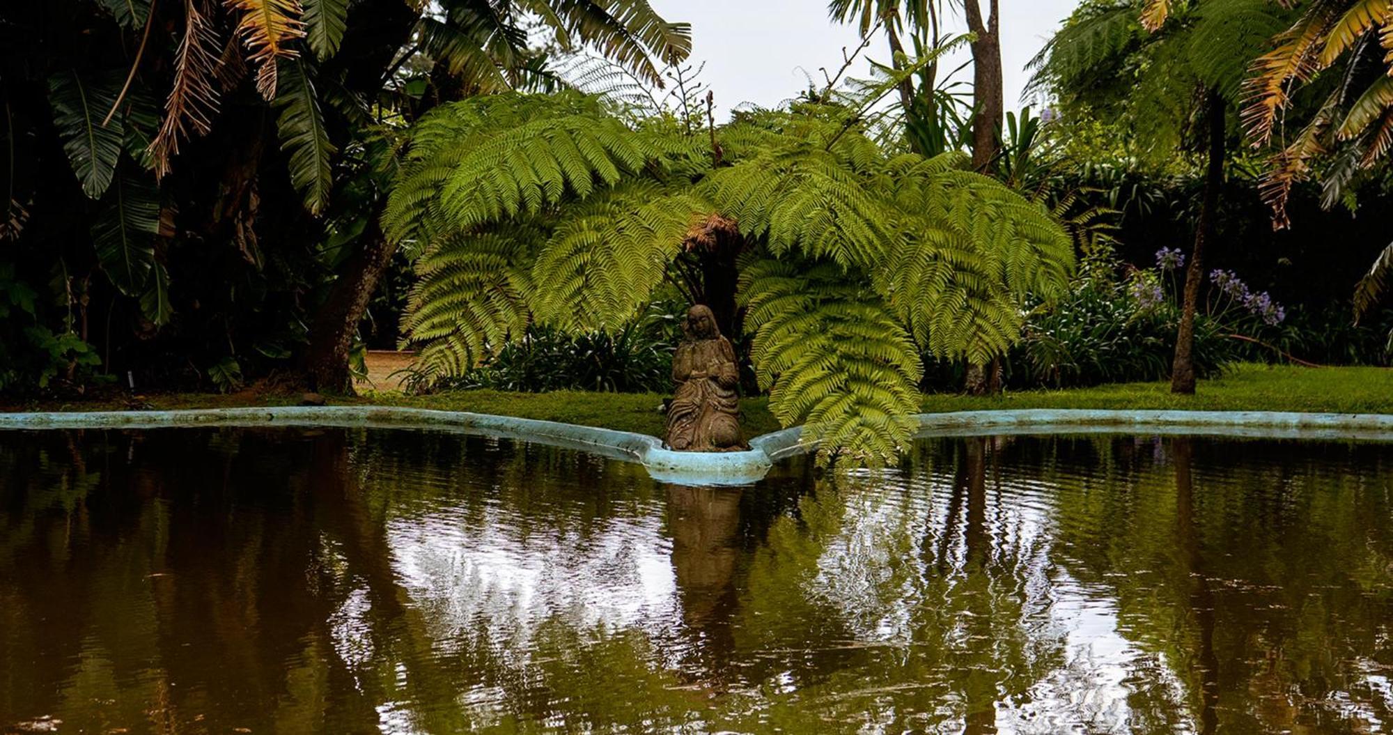 Quinta Da Nasce Agua Angra do Heroísmo Exterior foto